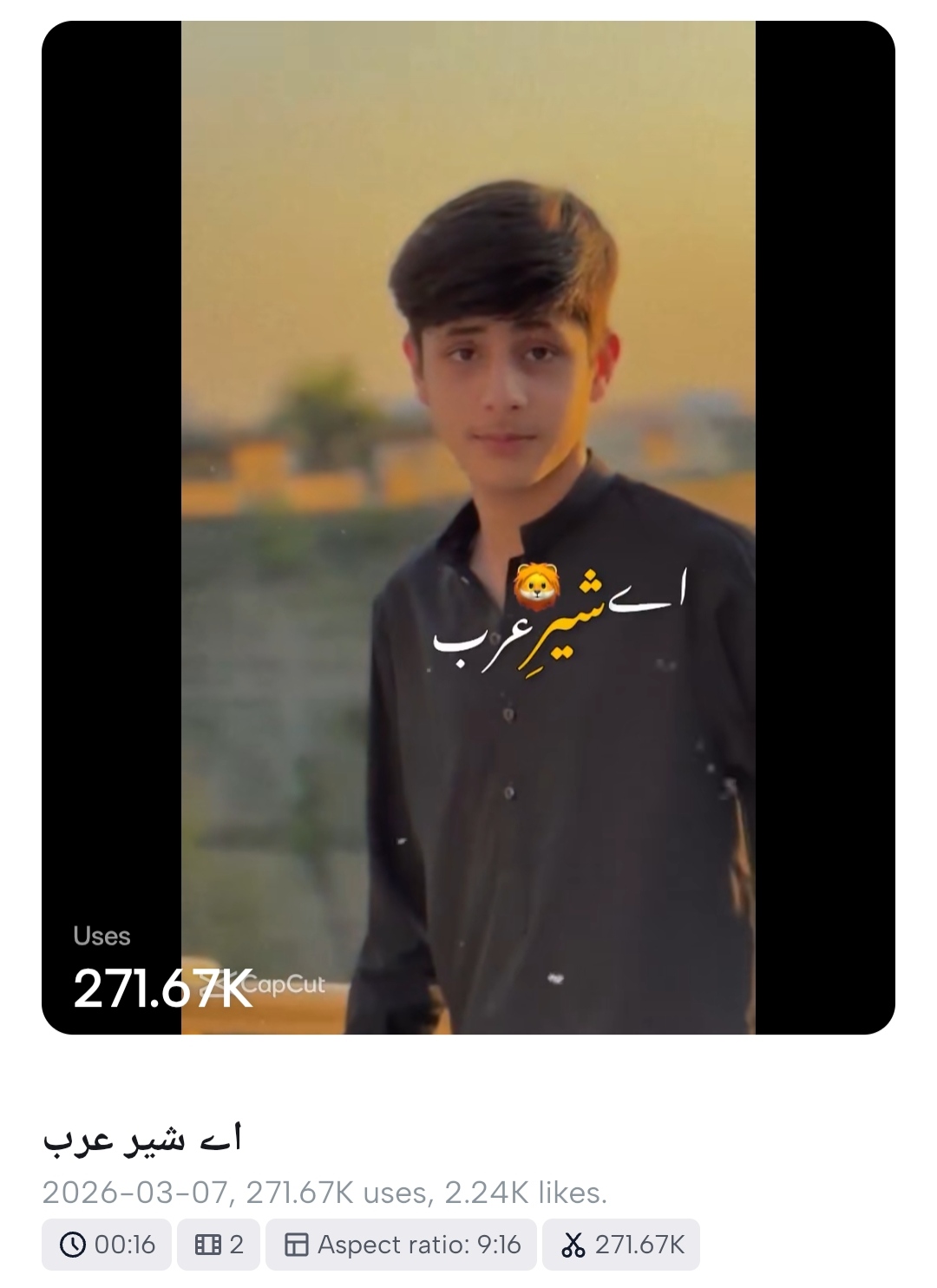 Aye Shere Arab Song Reels Capcut Template Instagram Viral Reels